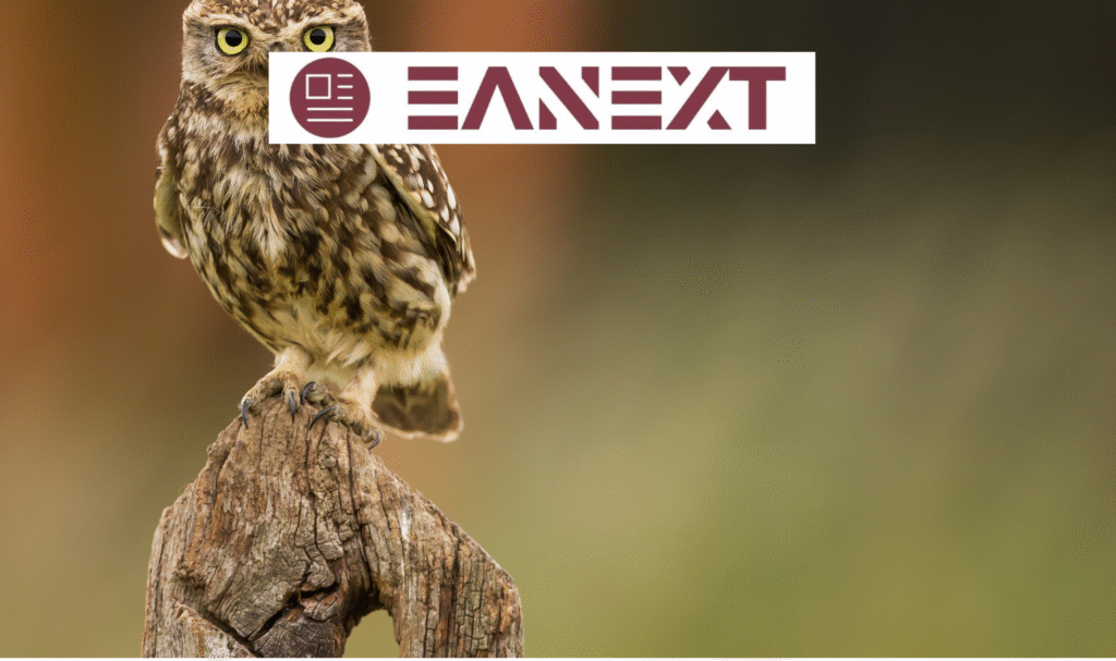 owl puns