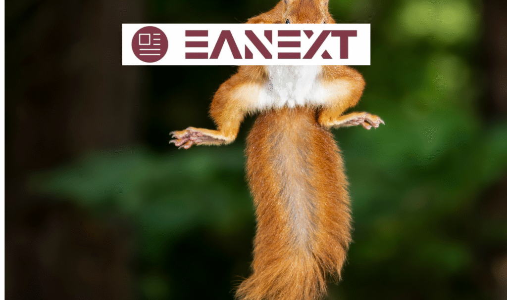 squirrel pun