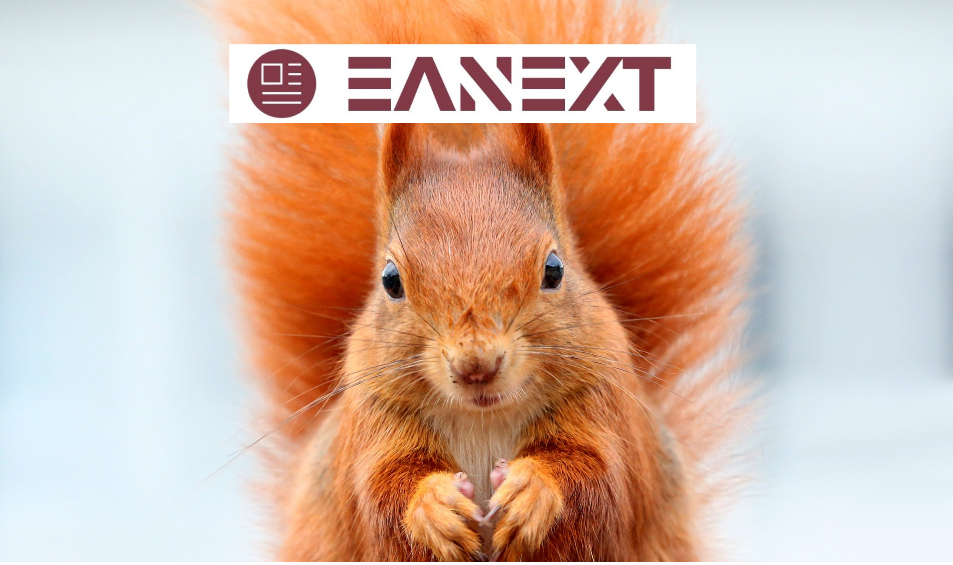 squirrel pun